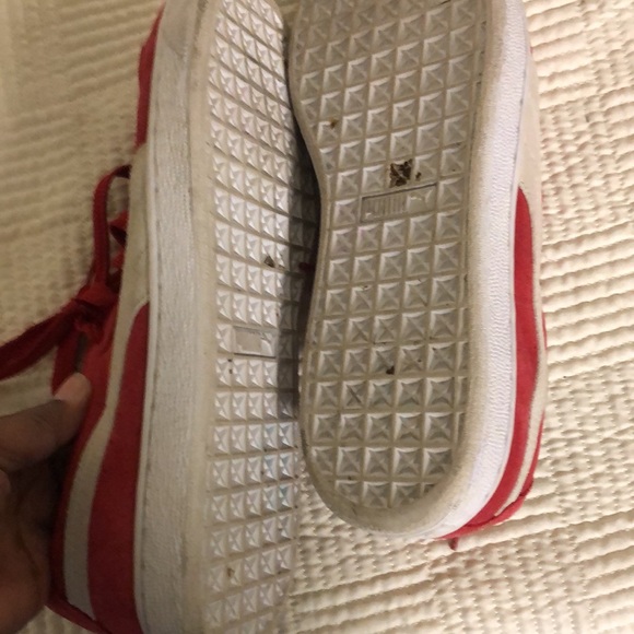 Puma - Picture 5 of 6